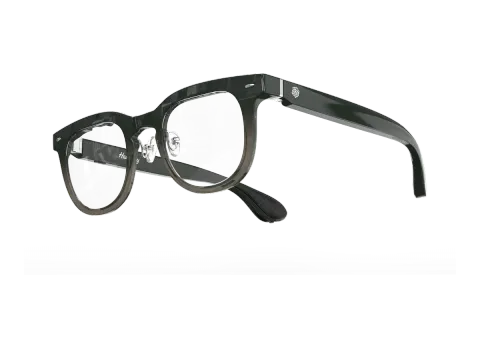 Halliday AI Glasses